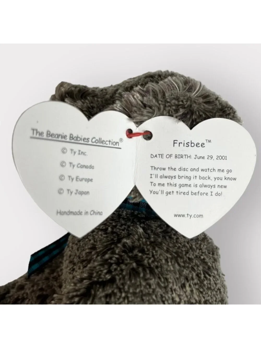 TY Beanie Babies Frisbee the Dog 2001 5.5 Inch Mint Condition New